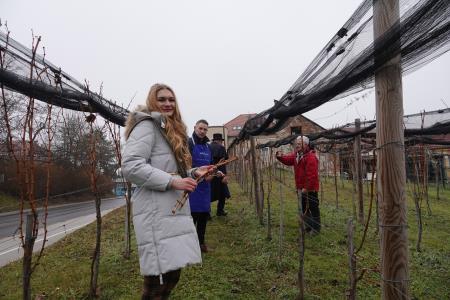 januar 2025 vicekova rez (148)